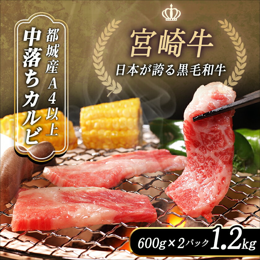 宮崎県都城市の画像2