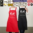 【ふるさと納税】【都城ロゴマーク】エプロン※ポスト投函 - 都城ロゴマーク入り エプロン 1着 男女兼用 レッド/ブラック 都城ブランド オリジナル ポスト投函 送料無料 AA-1557【宮崎県都城市は2年連続ふるさと納税日本一!】
