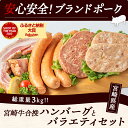 【ふるさと納税】宮崎牛合挽ハンバーグとバラエティ3kgセット - ジューシーな合挽ハンバーグ(160g×10) ブランドポーク 観音池ポークの豚バーグ(100g×8個) トンバーグ ベーコン チーズ入りフランク 送料無料 AD-1501【宮崎県都城市は令和4年度ふるさと納税日本一！】 2