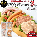 【ふるさと納税】宮崎牛合挽ハンバーグとバラエティ3kgセット - ジューシーな合挽ハンバーグ(160g×10) ブランドポーク 観音池ポークの豚バーグ(100g×8個) トンバーグ ベーコン チーズ入りフランク 送料無料 AD-1501【宮崎県都城市は令和4年度ふるさと納税日本一！】 1