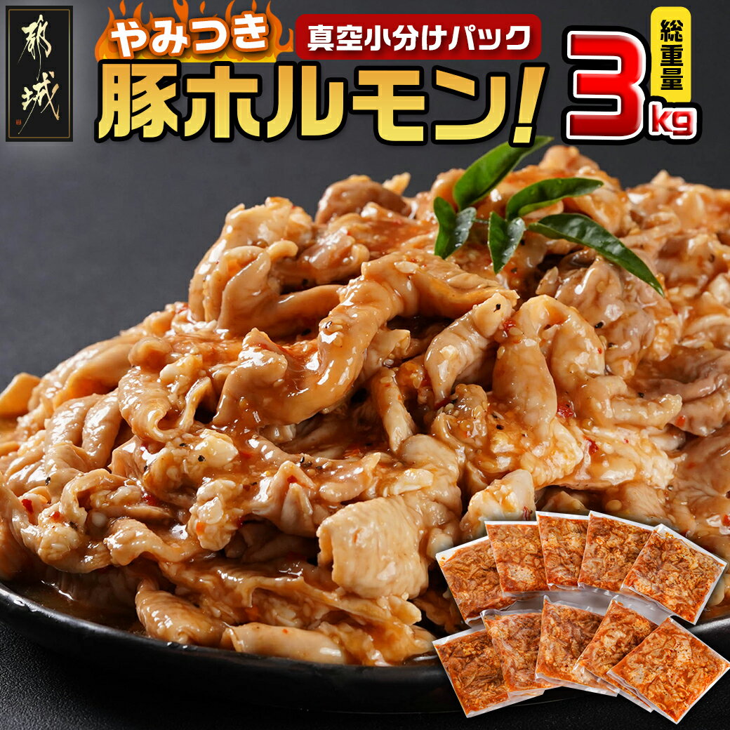 【ふるさと納税】やみつき豚ホルモン！3kg！真空小分けパック！ - 国産豚 味付きホルモン 300g×10P 真空 小分け 豚 ホルモン 味付き 焼くだけ おかず おつまみ BBQ 冷凍 送料無料 AA-3307【宮崎県都城市は令和4年度ふるさと納税日本一！】