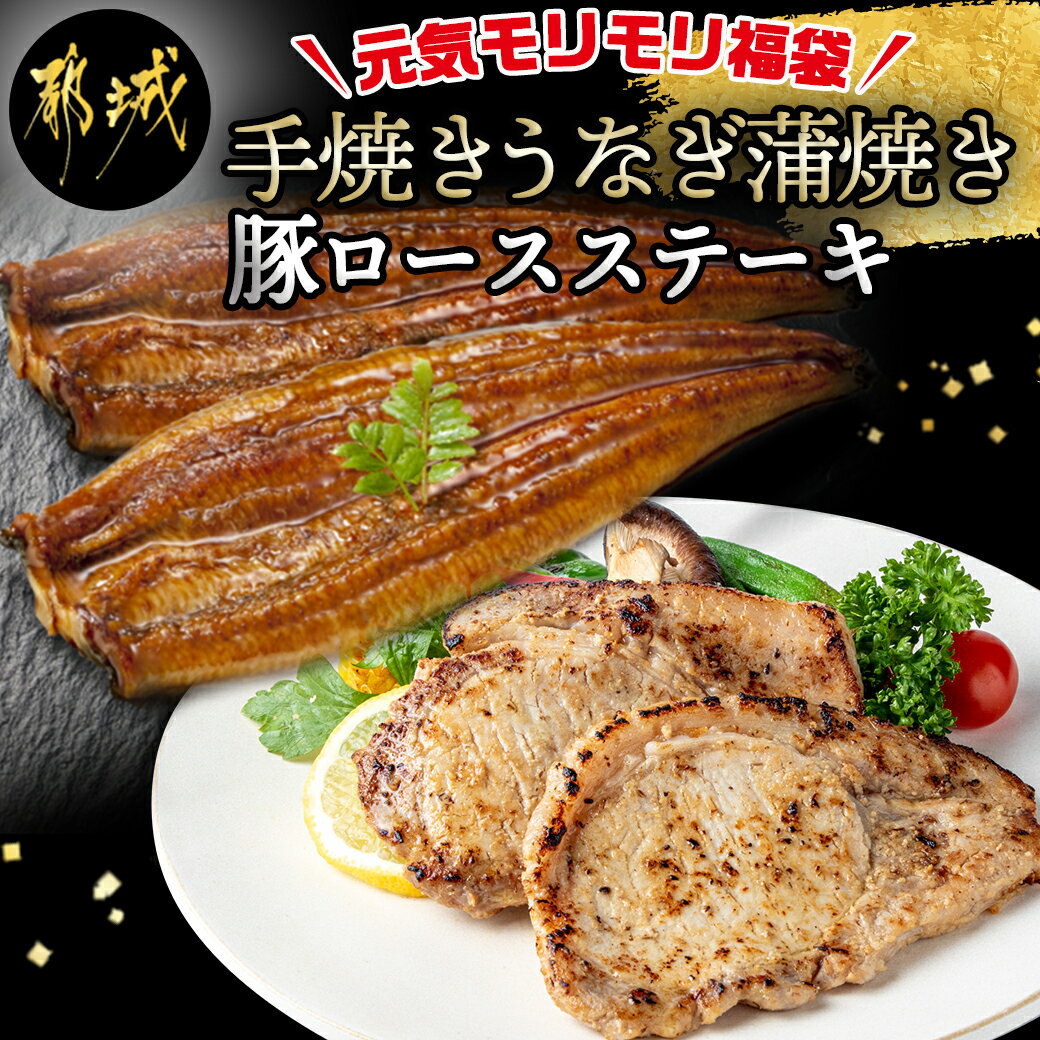 【ふるさと納税】【元気モリモリ福袋】職人手焼きうなぎ蒲焼き2