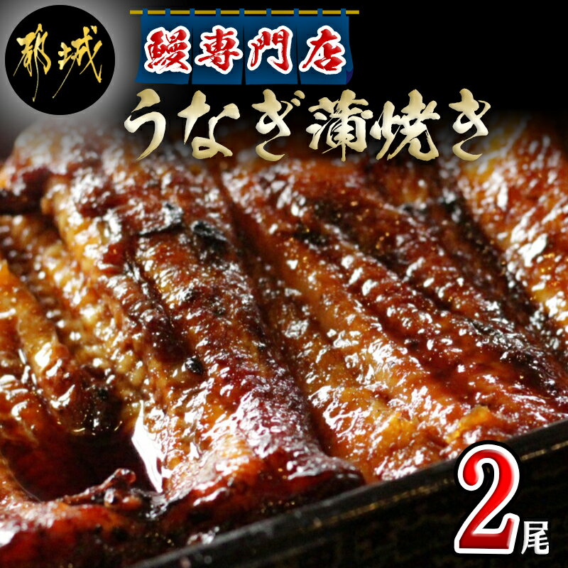 【ふるさと納税】鰻専門店・職人手焼きの本格うなぎ蒲焼き2尾 - 鰻蒲焼 2尾(総重量300g以上) タレ付き(30ml×2個) 国産うなぎの蒲焼き 特製たれ付き ウナギ かば焼き 送料無料 MJ-3305【宮崎県都城市は令和4年度ふるさと納税日本一！】