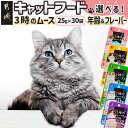 【ふるさと納税】【年齢・フレーバー・お届け月が選べる】キャットフード 3時のムース - 猫用フード 子ねこ用ミルク/1歳〜かつお削り節/1歳〜つぶつぶレバー/1...