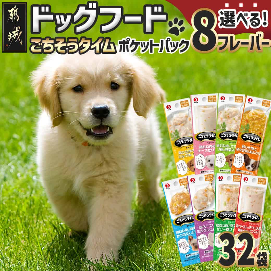 【ふるさと納税】【フレーバー・お届け月が選べる】ドッグフード ごちそうタイム - 犬用フード 国産若鶏 小容量タイプ スリムパウチ フレーバーが選べる ポスト投函でお届け 送料無料 SKU-3310【宮崎県都城市は令和4年度ふるさと納税日本一！】