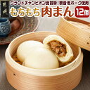 【ふるさと納税】もちもち肉まん - 12個 ふわっふわ 肉まん 具材がたっぷり 観音池ポーク 袋のまま電子レンジ調理 失敗しない もちもち 中華まん 豚まん 簡単 個包装 冷凍 おやつ 小腹 軽食 送料無料 AA-9223 【宮崎県都城市は2年連続ふるさと納税日本一!】