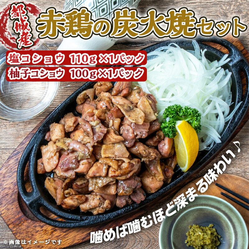 【ふるさと納税】赤鶏の炭火焼セット - 都城産鶏肉 赤鶏炭火焼 塩コショウ/柚子コショウ 真空パック お惣菜屋さん おうち時間 ポスト投函 送料無料 LB-9202【宮崎県都城市は令和4年度ふるさと納税日本一！】