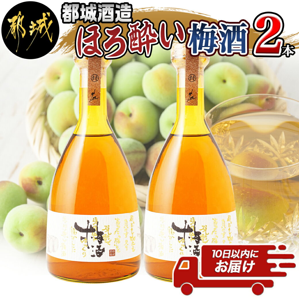 【ふるさと納税】都城酒造 ほろ酔い梅酒2本≪みやこんじょ特急便≫ - プレミアム梅酒 14度 500ml 2本 都城酒造 梅酒 ほろよい 国産梅使用 送料無料 AO-6701 【宮崎県都城市は令和4年度ふるさと納税日本一！】