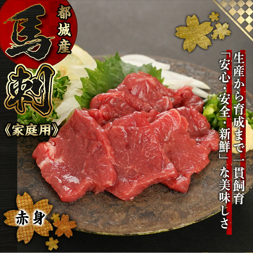 【ふるさと納税】≪家庭用≫馬刺し用赤身ブロック - 都城産馬肉 赤身ブロック 総重量500g 真空 不揃い ブロック 家庭用 切り方のリーフレット同梱 桜肉 宮崎 国産 馬刺 冷凍 赤身 送料無料 19-0103 【宮崎県都城市は令和4年度ふるさと納税日本一！】