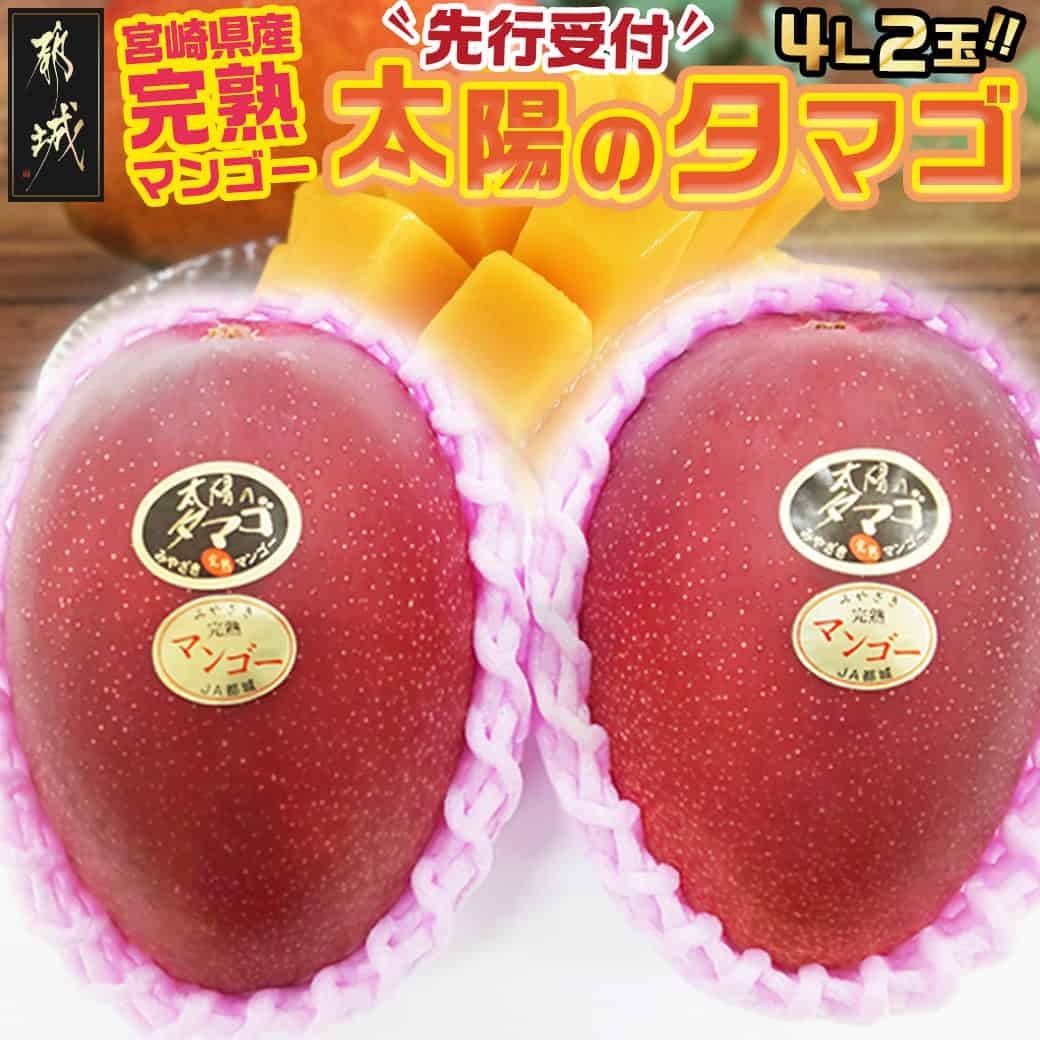 【ふるさと納税】【先行受付！】宮崎県産完熟マンゴー 太陽のタマゴ【4L×2玉】化粧箱入り≪2025年5月中旬以降順次お届け≫ - マンゴー 完熟フルーツ 太陽のタマゴ 糖度15度以上 化粧箱入り 期間限定 送料無料 41-0101【宮崎県都城市は2年連続ふるさと納税日本一！】のサムネイル