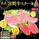 【ふるさと納税】都城産宮崎牛ステーキ Aセット（ヒレ サーロイン） - 牛肉 牛サーロインステーキ肉(200g×2枚) / 牛ヒレステーキ肉(100g×2) 合計600グラム A5ランク 5等級 ギフト 贈答用 送料無料 MB-0125【宮崎県都城市は令和4年度ふるさと納税日本一！】