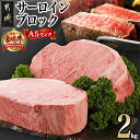 【ふるさと納税】都城産宮崎牛サーロインブロック(「A5」ランク) - 最高級牛肉 国産黒毛和牛 A5ランク和牛 霜降り肉 霜ふり 協同商事 直売所ATOM 送料...