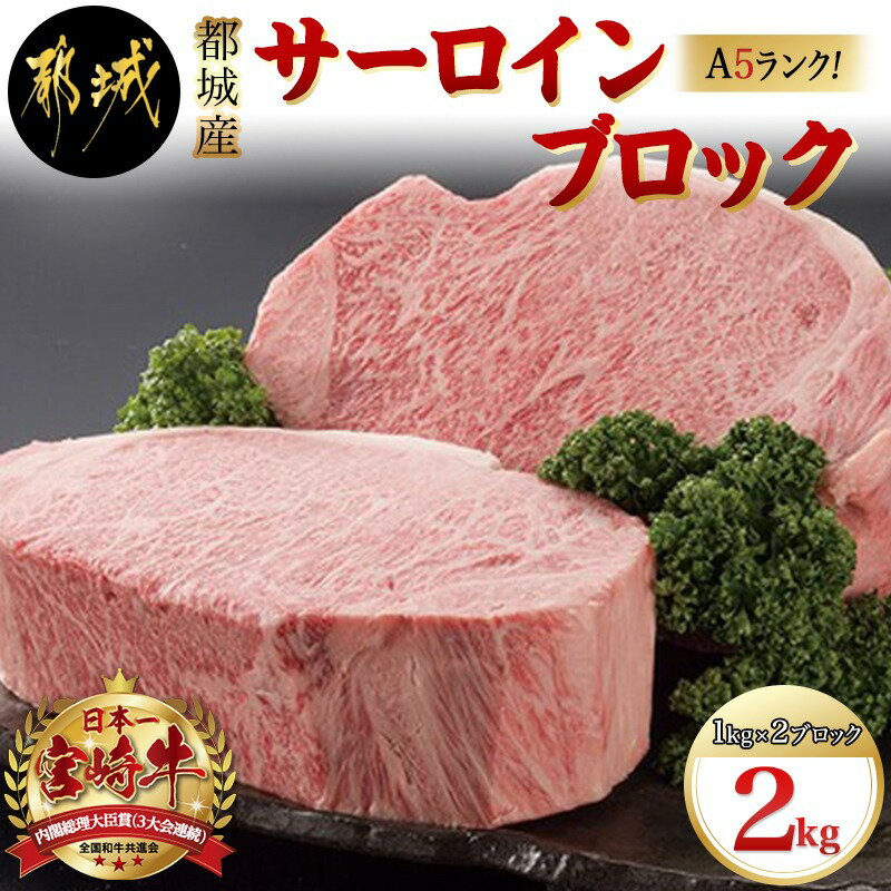 【ふるさと納税】都城産宮崎牛サーロインブロック（「A5」ランク） - 最高級牛肉 国産黒毛和牛 A5ランク和牛 霜降り…