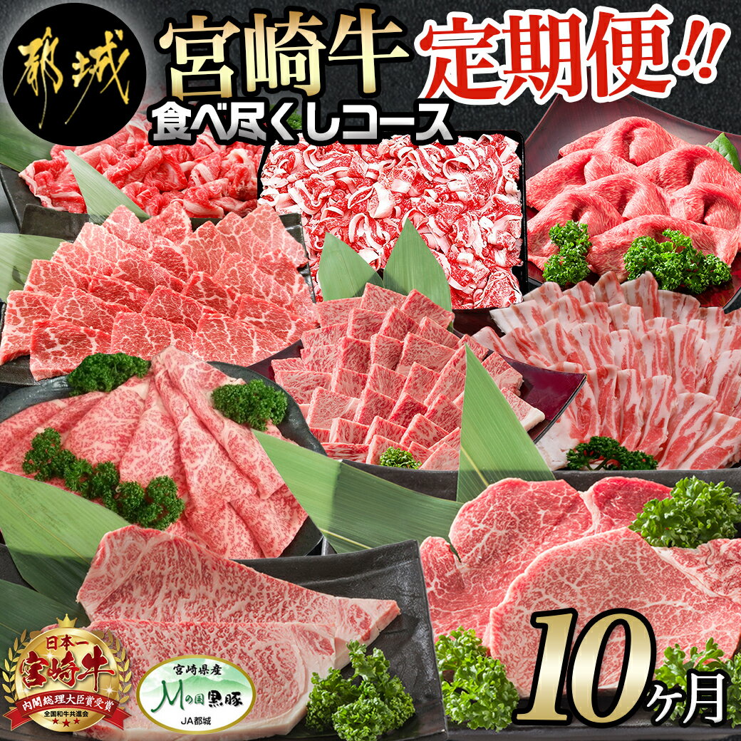 【ふるさと納税】迷ったらコレ！宮崎牛食べ尽くし定期便(10ヶ月) - 牛肉 バラ/赤身/サーロインステーキ/ヒレステーキ/ロース/焼き肉/しゃぶしゃぶ/すき焼き/スライス/切り落とし Mの国黒豚 送料無料 T120-0101【宮崎県都城市は令和4年度ふるさと納税日本一！】