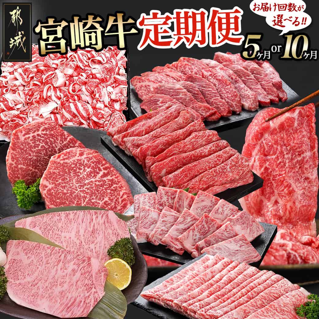 【ふるさと納税】宮崎牛定期便（5ヶ月） - ブランド牛肉 国産黒毛和牛 赤身 バラ 切り落とし サーロインステーキ 焼き肉 様々な宮崎牛の部位を5ヶ月間毎月お届け 送料無料 T60-0102【宮崎県都城市は令和4年度ふるさと納税日本一！】のサムネイル