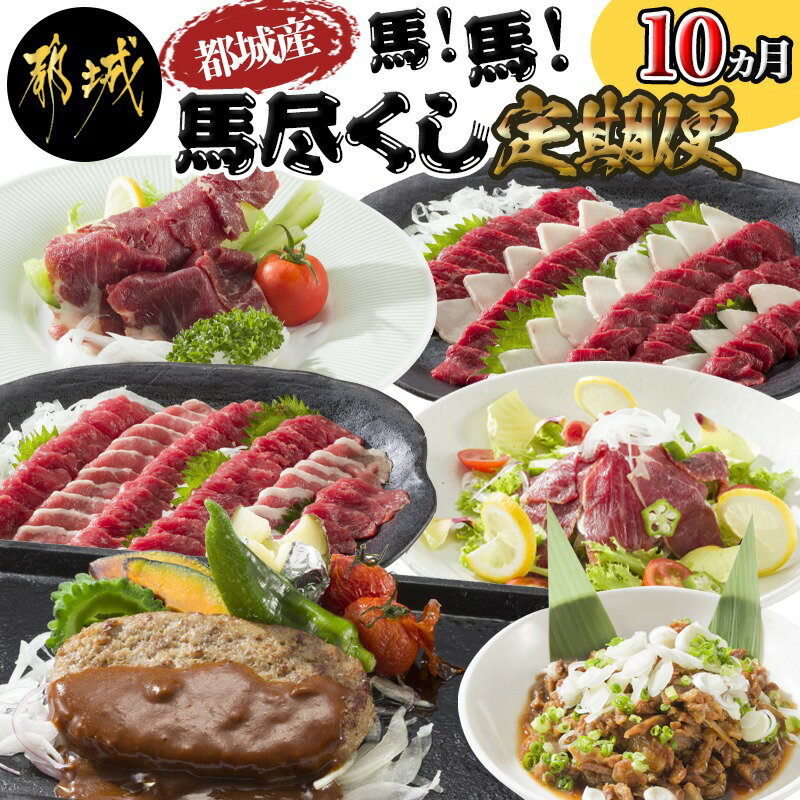 【ふるさと納税】都城産馬!馬!馬尽くし定期便(10ヵ月) - 定期便 馬刺し 馬ハンバーグ 馬生ハム 馬すじ煮込み 10ヵ月定期便 送料無料 T80-0101【宮崎県都城市は2年連続ふるさと納税日本一!】