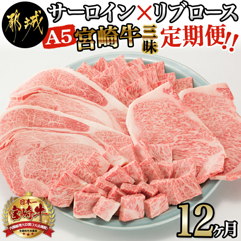 【A5】宮崎牛サーロイン×宮崎牛リブロース三昧定期便(12ヶ月) - 都城産宮崎牛 牛肉 スライス/サイコロ/焼肉/ステーキ サーロイン リブロース 送料無料 TAE12-0101【宮崎県都城市は令和4年度ふるさと納税日本一！】