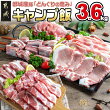 【ふるさと納税】「どんぐりの恵み豚」キャンプ飯3.6kgセット - 都城産 豚肉 どんぐりの恵み 食べきりサイズ 真空包装 キャンプ BBQ 焼肉 送料無料 19-1103【宮崎県都城市は令和4年度ふるさと納税日本一！】