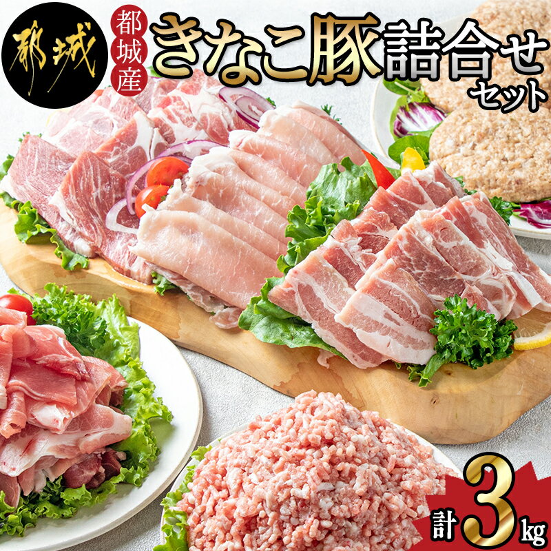 都城産「きなこ豚」詰め合わせセット - ブランド豚 柔らかい豚肉 豚バラ焼肉用/豚ロース生姜焼き/豚肩ロース焼き肉/ウデ・モモ小間切れ/モモミンチ/ハンバーグ 送料無料