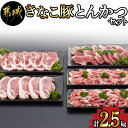 【ふるさと納税】都城産「きなこ豚」とんかつセット - ブランド豚のやわらかい豚肉 豚ロースとんかつ/豚肩ロース豚カツ/ヒレトンカツ/ウデ・モモ小間切れ ひれ肉 腕 もも こま切れ 送料無料 MA-1207【宮崎県都城市は令和4年度ふるさと納税日本一！】