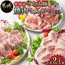 都城産「きなこ豚」焼肉・とんかつセット - ブランド豚の豚肉 豚カツ用カット肉 焼き肉用カット肉 トンカツ用(ロース/肩ロース) 焼き肉用(豚バラ/豚肩ロース) 送料無料 MJ-1204【宮崎県都城市は令和4年度ふるさと納税日本一！】