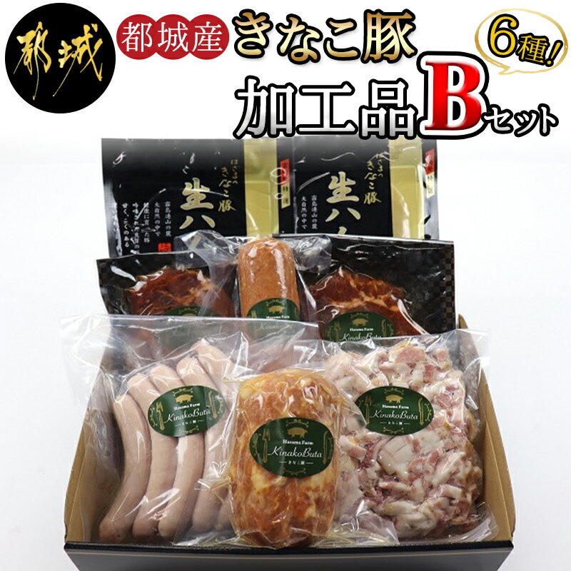 ソーセージ 【ふるさと納税】都城産「きなこ豚」加工品セットB - きなこ豚 ブランドポーク プレスハム ソーセージ 生ウインナー 味噌漬け ベーコン 生ハム 加工品 冷凍 送料無料 MJ-1209【宮崎県都城市は令和4年度ふるさと納税日本一！】