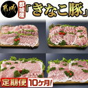 8位! 口コミ数「10件」評価「4.4」都城産「きなこ豚」定期便（10ヶ月） - 豚肉 ブランド豚のお肉を10ヶ月間毎月お届け 毎月銘柄豚のブタ肉が届きます ブランドポーク しゃぶ･･･ 