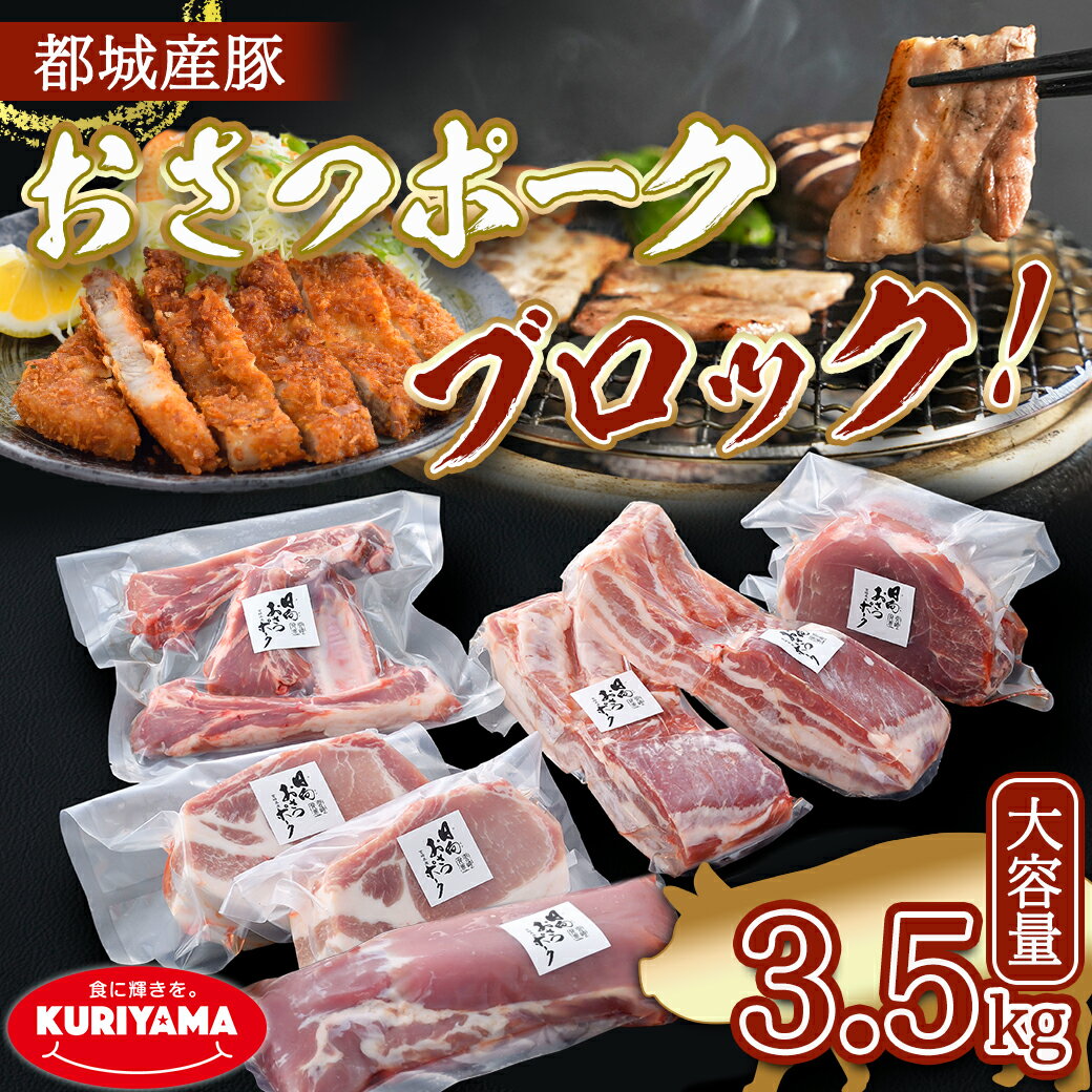 【ふるさと納税】「おさつポーク」至極のブロック3.5kgセット - 宮崎県産豚肉 ブロックカットセット ブランドポーク もも ステーキ モモブロック/ヒレブロック/バラブロック/ロースブロック BBQ 送料無料 AC-1402【宮崎県都城市は令和4年度ふるさと納税日本一！】