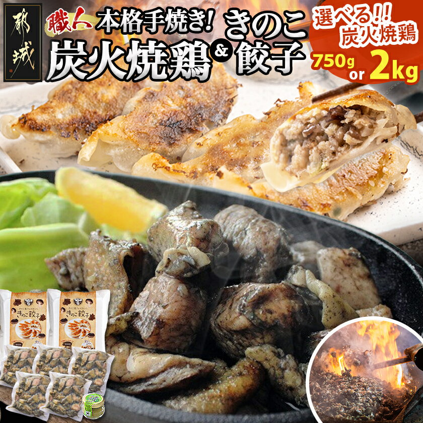 【ふるさと納税】【内容量が選べる!】本格手焼き!炭火焼鶏&きのこ餃子セット - 鶏の炭火焼きと餃子の詰め合わせ 国産鶏使用 もも肉・むね肉 きのこ餃子 都城産椎...