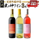 【ふるさと納税】天孫降臨神話・星の神 ワイン3本セット≪みやこんじょ特急便≫ - 都城産ワイン KUMASOTAKERU 赤 やや甘口 ISHIKORIDOME...