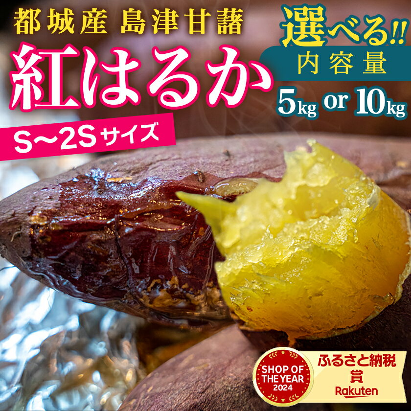 宮崎県都城市の画像3