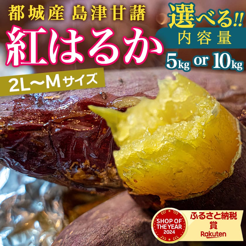 宮崎県都城市の画像3