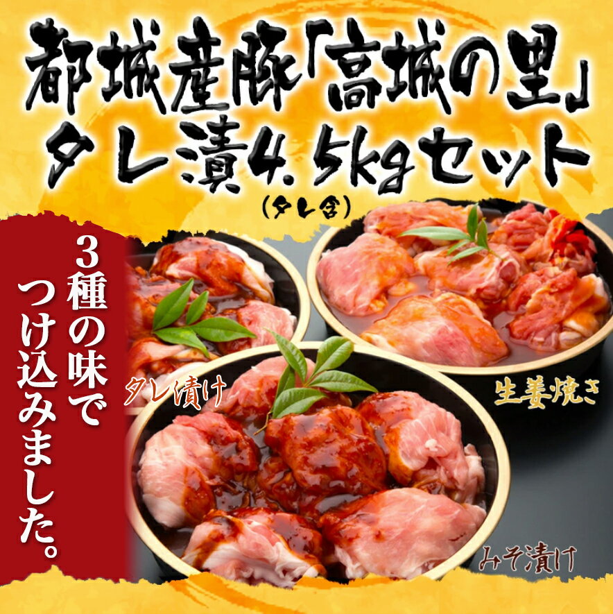 【ふるさと納税】都城産豚「高城の里」タレ漬4.5kgセット(タレ含) - 豚肉 味噌味(750g×2)/生姜味(750g×2)/タレ味(750g×2) 生姜焼き・味噌豚・たれ味 ブランド豚 銘柄豚 株式会社一真 送料無料 MJ-8408【宮崎県都城市は令和4年度ふるさと納税日本一！】