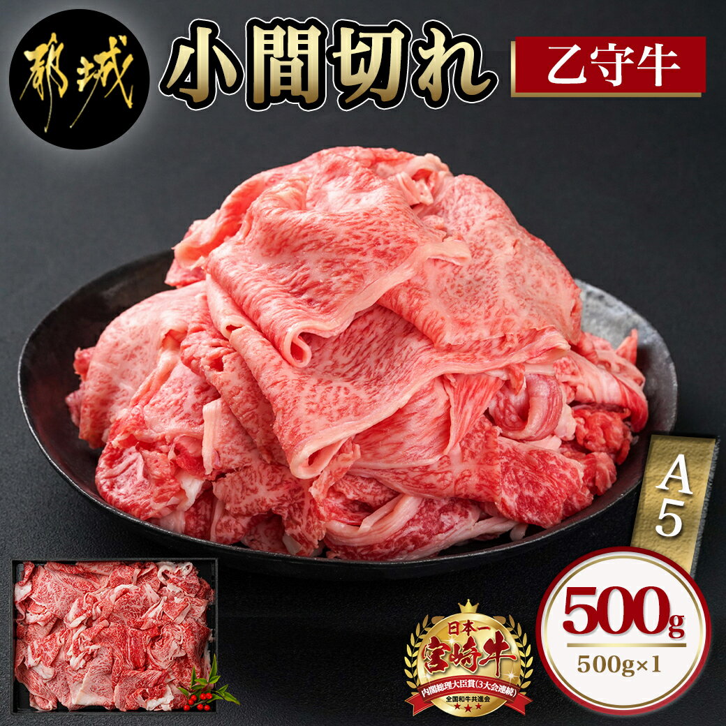 数量限定！小間切れ500g(乙守牛) - 都城産宮崎牛 乙守牛 A5 小間切れ 500g×1パック 牛肉 送料無料 17-6502