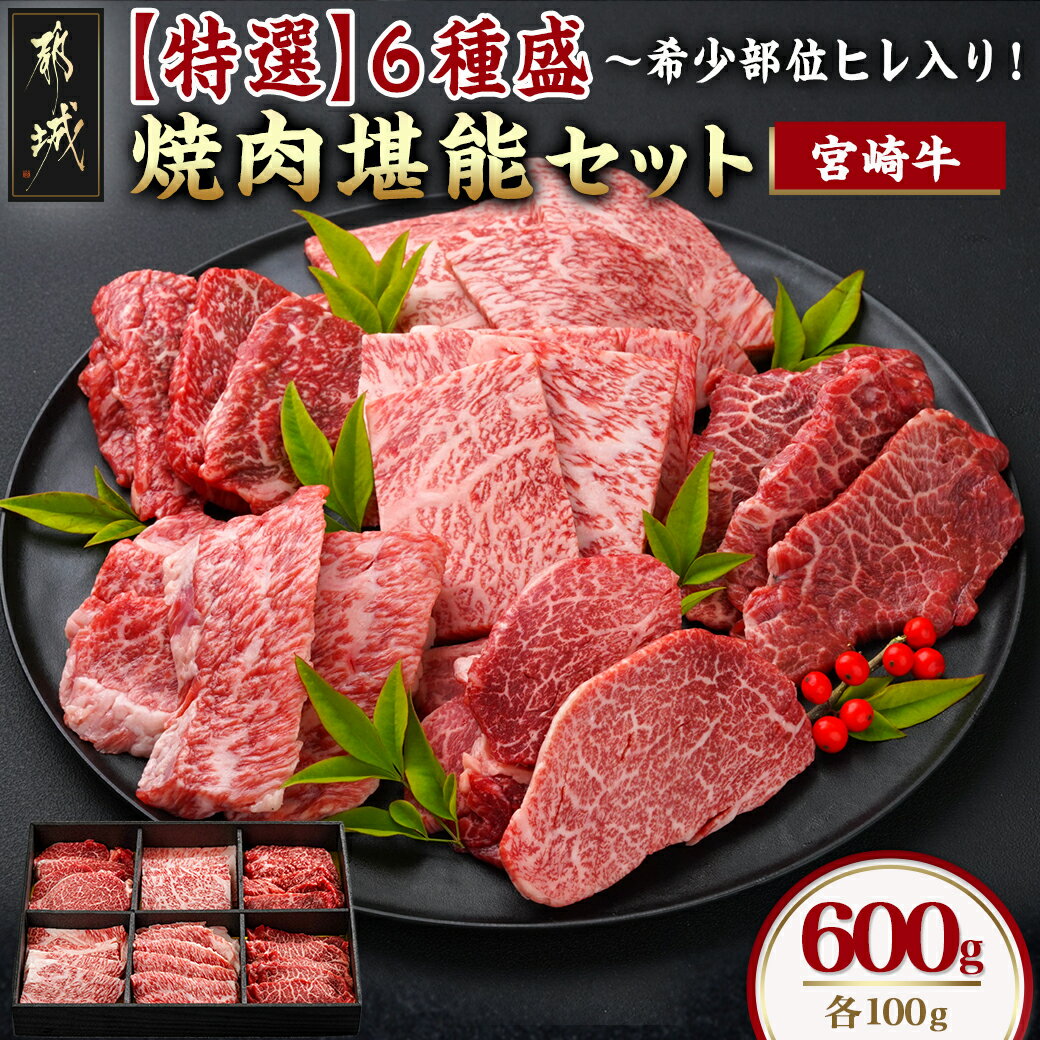 ≪希少部位ヒレ入り！≫ 宮崎牛【特選】6種盛 焼肉堪能セット 600g - 宮崎県産宮崎牛 焼肉6種盛 各100g ロース 肩ロース ヒレ ウデ バラ モモ 国産牛 ギフト 贈答用 送料無料 22-6502【宮崎県都城市は令和4年度ふるさと納税日本一！】