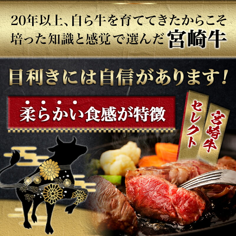 【ふるさと納税】宮崎牛【赤身霜降り】ロースステーキ200g- 牛肉 牛ロースステーキ用カット 200g×1枚 ステーキソース付き 牛赤身 霜降り肉 A4ランク以上 4等級以上 ギフト 贈答用 送料無料 AA-6514【宮崎県都城市は令和2年度ふるさと納税日本一！】