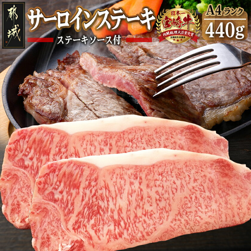 【ふるさと納税】都城産宮崎牛サー