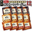 【ふるさと納税】霧島黒豚 3種の煮込みハンバーグ 12個セッ