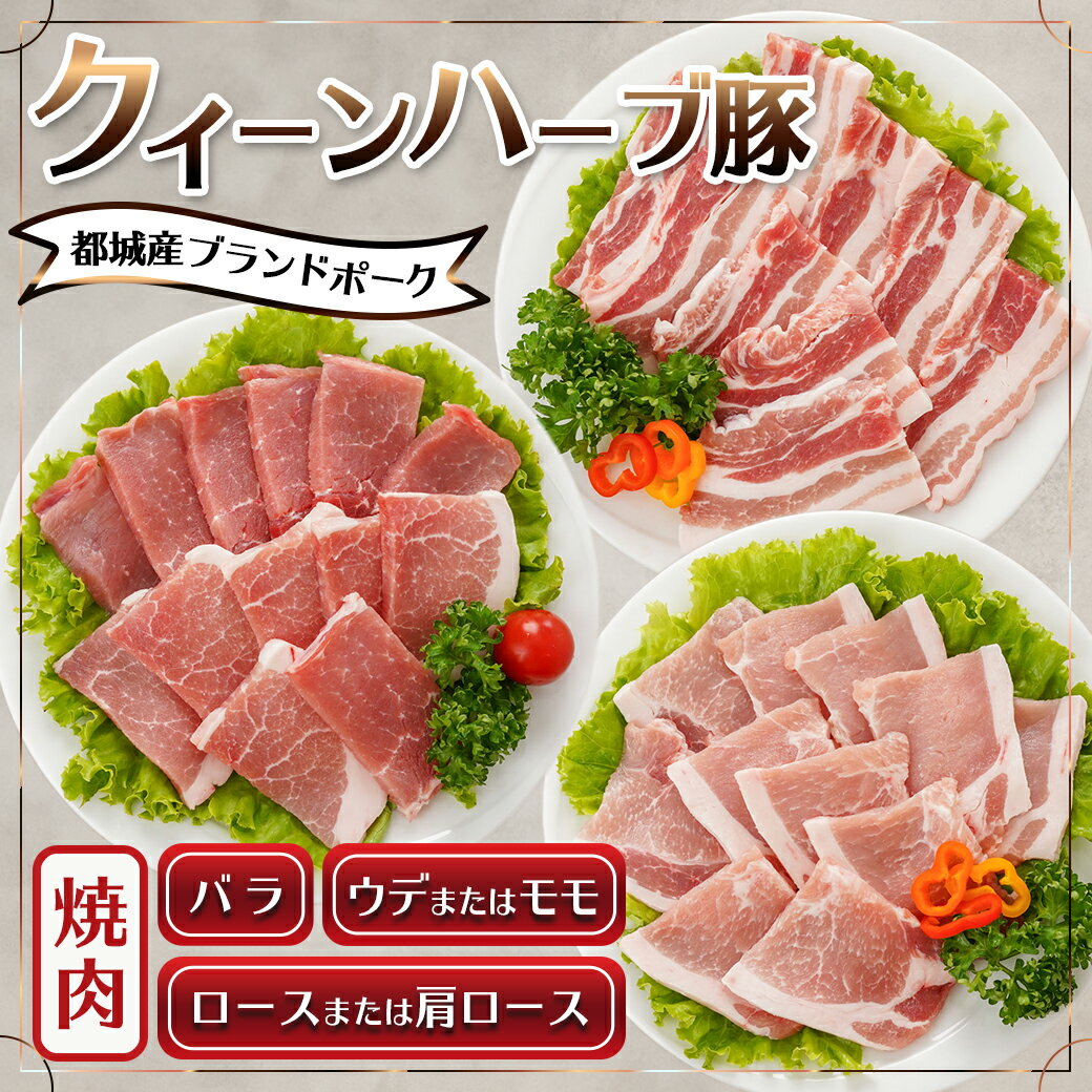 【ふるさと納税】都城産「クイーンハーブ豚」焼肉1.2kgセット - 豚肉 送料無料 11-2903【宮崎県都城市は令和4年度ふるさと納税日本一！】