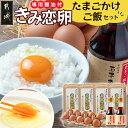 【ふるさと納税】「きみ恋卵」たまごかけご飯セット - 卵 Mサイズ 45個 破損補償5個つき 鶏卵 卵かけご飯専用醤油 玉子ちゃん 甘口 たまご ブランド 送料...