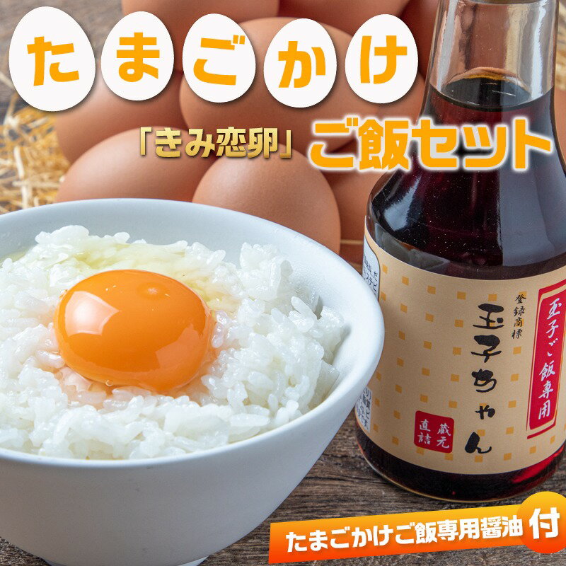 【ふるさと納税】「きみ恋卵」たまごかけご飯セット - 卵 Mサイズ 45個 破損補償5個つき 鶏卵 卵かけご飯専用醤油 玉子ちゃん 甘口 たまご ブランド 送料無料 11-2904 【宮崎県都城市は2年連続ふるさと納税日本一！】