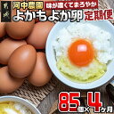 11位! 口コミ数「0件」評価「0」よかもよか卵85個の定期便(4ヶ月) - 赤卵 よかもよか卵 Mサイズ 85個 約5kg たまご タマゴ 4回定期便 4ヶ月間連続 きみ恋卵･･･ 