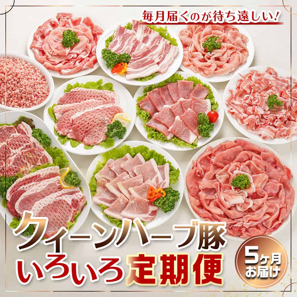 【ふるさと納税】「クイーンハーブ豚」のいろいろ定期便(5ヶ月) - 豚肉 定期便 5ヶ月お届け しゃぶしゃぶ用 焼肉用 ウデ モモ ロース 肩ロース バラ 送料無料 TAA5-2901【宮崎県都城市は2年連続ふるさと納税日本一！】▽