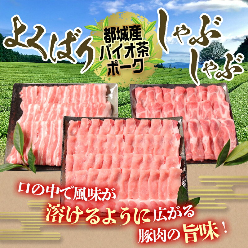 【ふるさと納税】「バイオ茶ポーク」よくばりしゃぶしゃぶ3.2kgセット - 宮崎県産豚肉 ロース 肩ロース バラ スライス しゃぶしゃぶ 送料無料 17-3603【宮崎県都城市は令和4年度ふるさと納税日本一！】