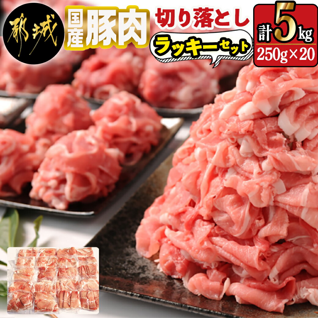 【ふるさと納税】国産豚肉切り落とし5kgラッキーセット - 国産豚 切り落とし 250g×20袋 5kg 豚肉 小分けパック 送料無料 MJ-3642【宮崎県都城市は令和2年度ふるさと納税日本一！】のサムネイル