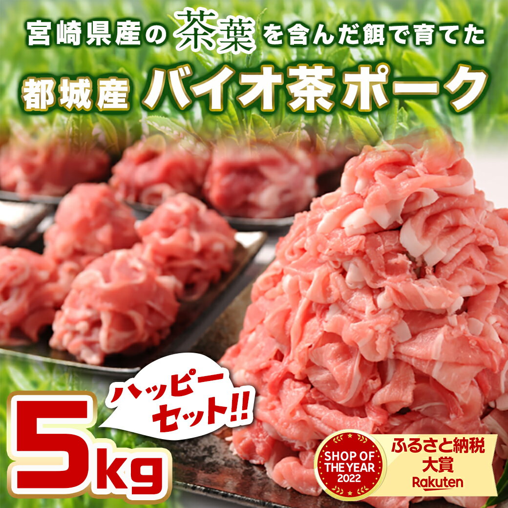 【ふるさと納税】都城産「バイオ茶ポーク」5kgハッピーセット - 豚肉 都城産 ブランド豚 切り落とし 小分け 250g×20 送料無料 MJ-3640【宮崎県都城市は令和4年度ふるさと納税日本一！】 3