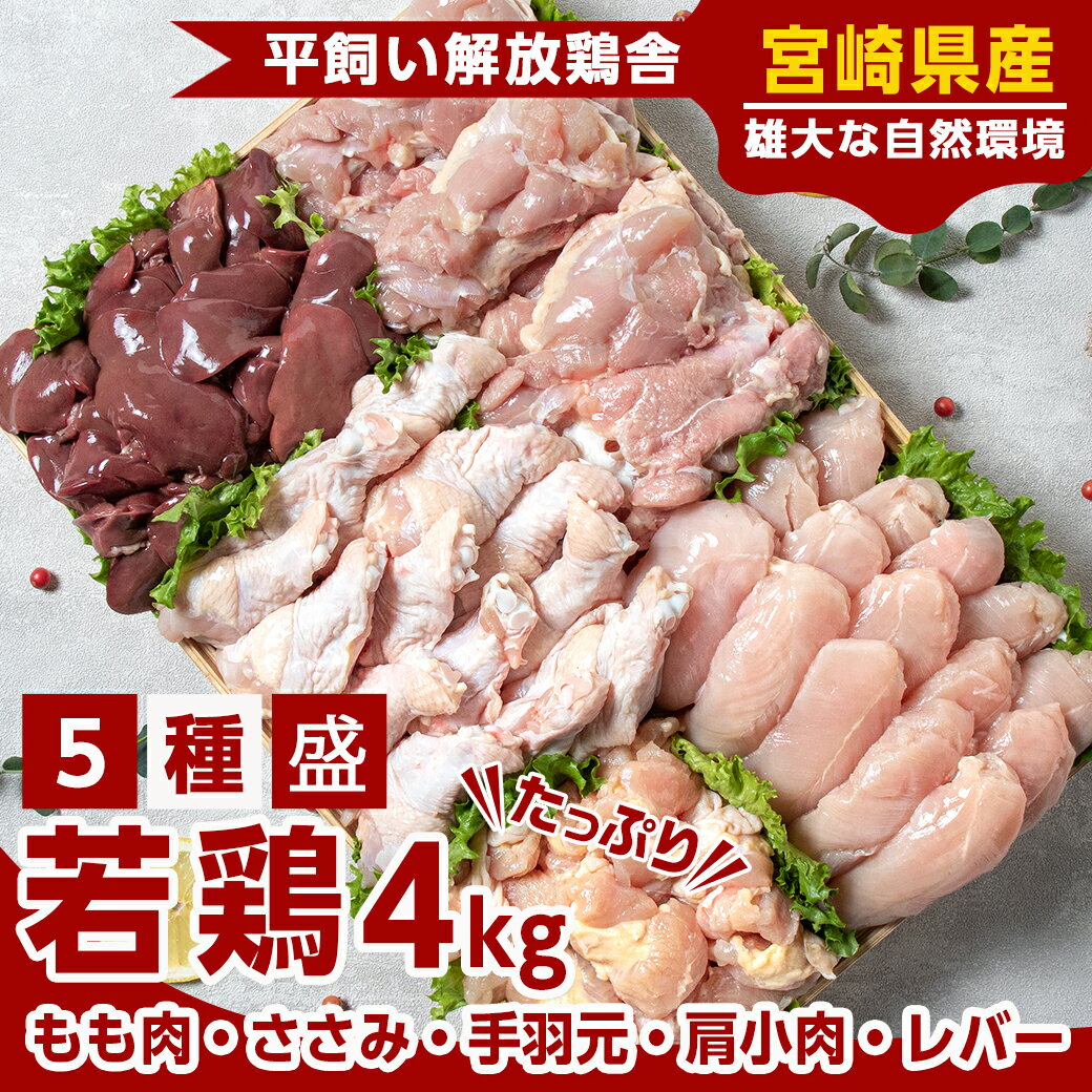 【ふるさと納税】宮崎県産若鶏 5種盛4kgセット - 鶏肉 モモ ささみ 手羽元 各1kg 肩小肉 レバー 各500g 冷凍 送料無料 AA-G302【宮崎県都城市は令和4年度ふるさと納税日本一！】