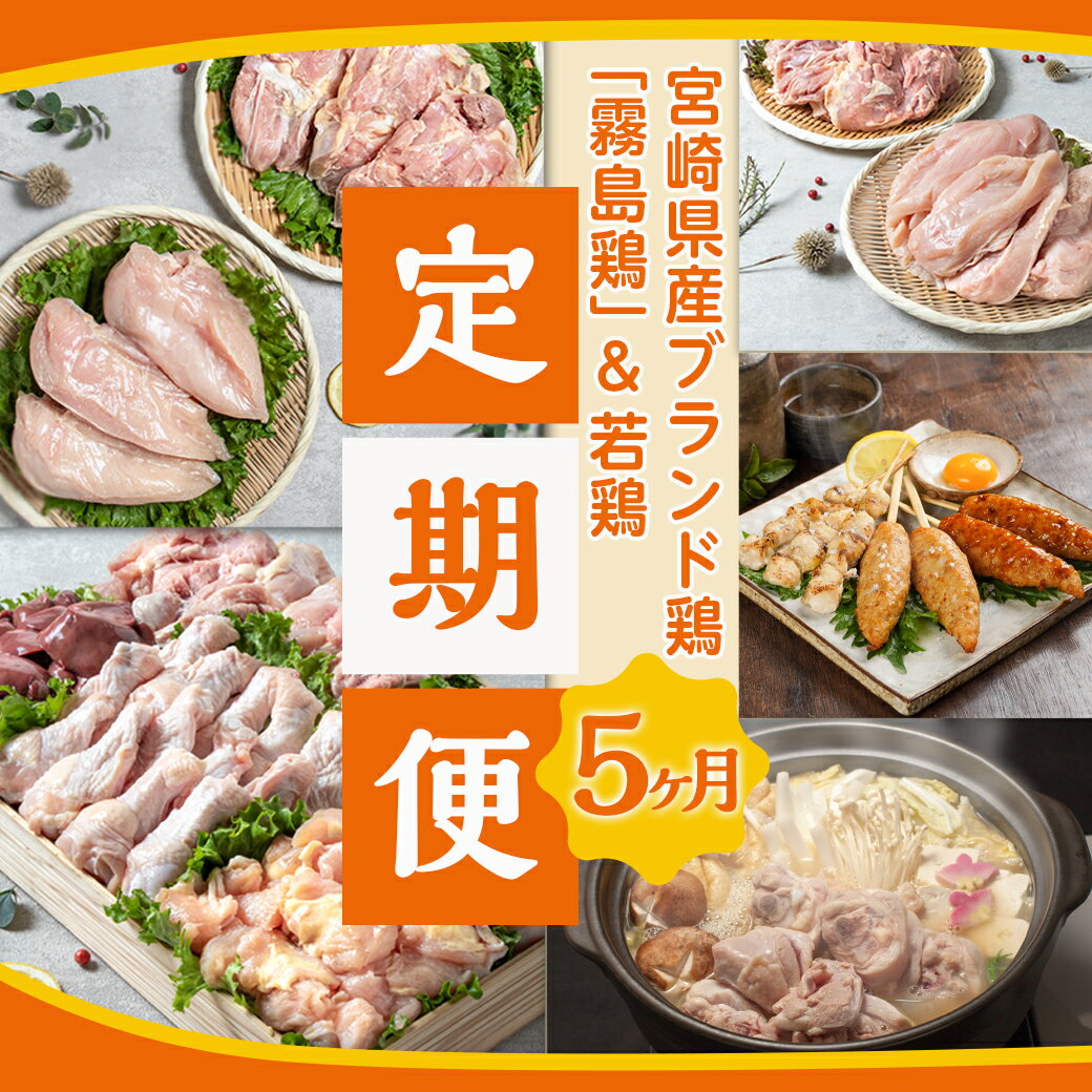 【ふるさと納税】プリっとジューシー♪宮崎県産ブランド鶏「霧島鶏」＆若鶏 5ヶ月定期便 - 定期便 毎月 鶏肉 5回定期便 もも むね 焼き鳥 鍋セット ブランド鶏 霧島鶏 バラエティに富んだラインナップ 送料無料 TAA5-G302 【宮崎県都城市は令和4年度ふるさと納税日本一！】