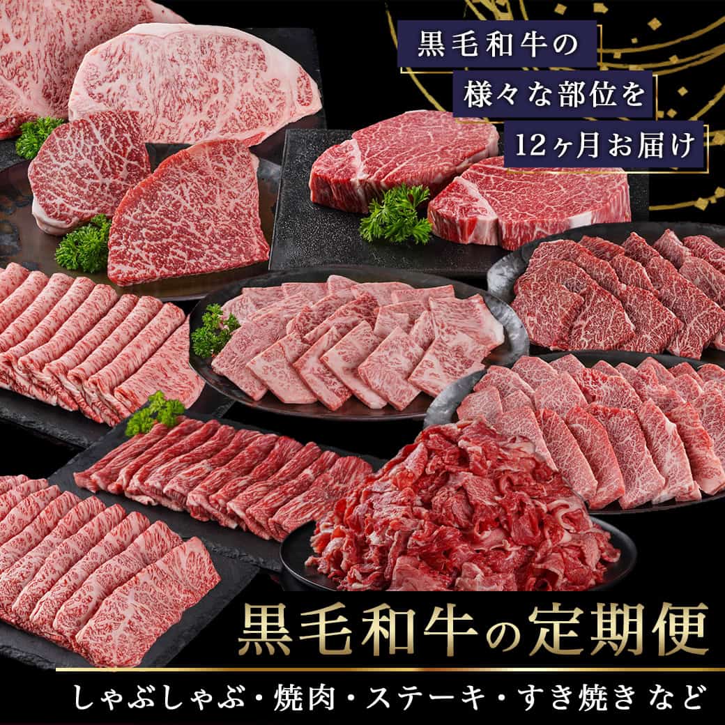 【ふるさと納税】黒毛和牛の本気！食べ尽くし12ヶ月定期便 - 黒毛和牛 定期便 肩ロース/サーロイン/切り落とし/カルビ/モモ/ロース/ヒレ スライス/焼肉/ステーキ 毎月お届け 和牛 送料無料 TAC12-4201【宮崎県都城市は2年連続ふるさと納税日本一！】