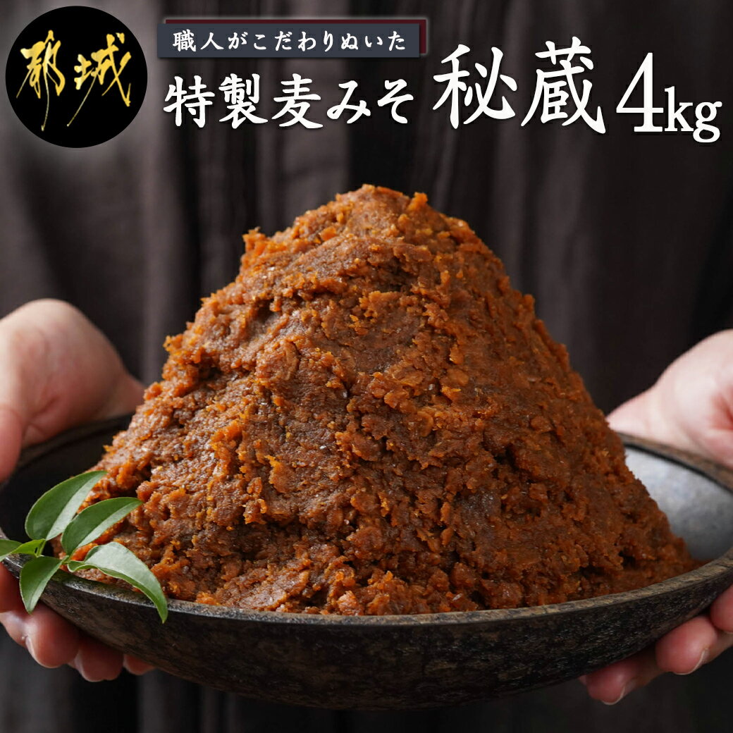 【ふるさと納税】職人がこだわりぬいた〜特製麦みそ 秘蔵 4kg - 特製麦みそ 4kg 味噌 麦味噌 みそ 麦こうじ 送料無料 AA-F206【宮崎県都城市は令和4年度ふるさと納税日本一 】